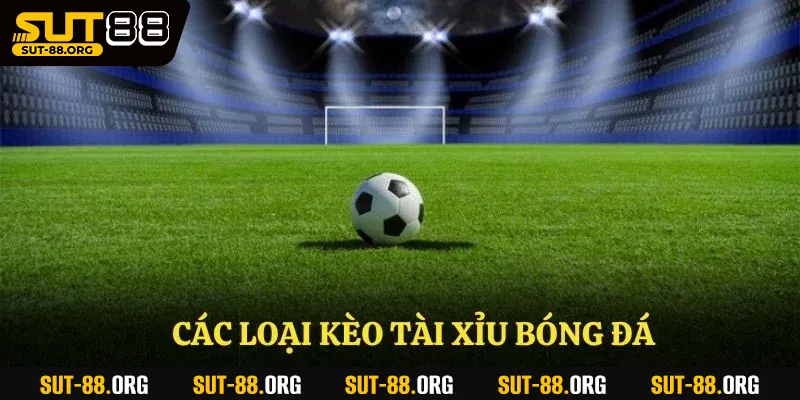 Các loại kèo tài xỉu bóng đá