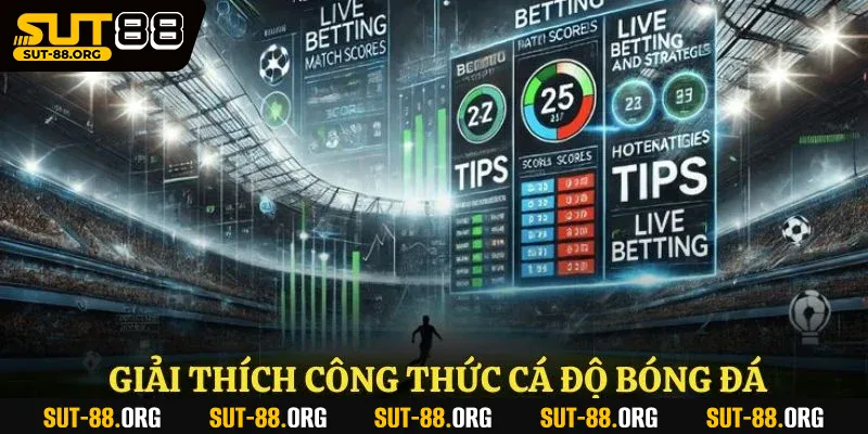 Giải thích công thức cá độ bóng đá