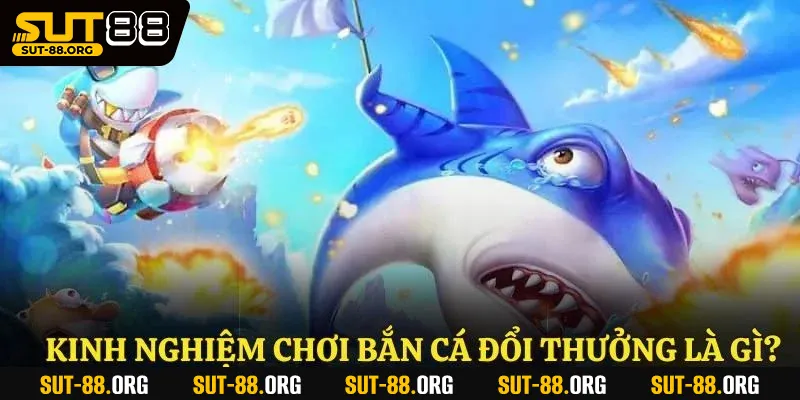 Kinh nghiệm chơi bắn cá đổi thưởng là gì?