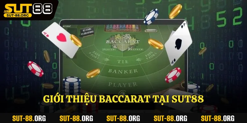 Công Thức Tính Cầu Baccarat Hiệu Quả Tại Sut88 Nên Biết Giới thiệu Baccarat tại Sut88