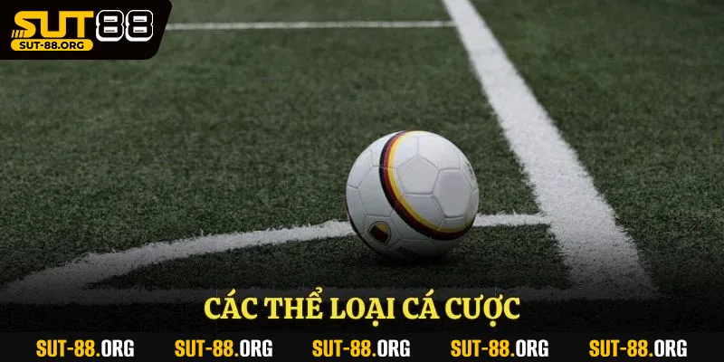 Các thể loại cá cược