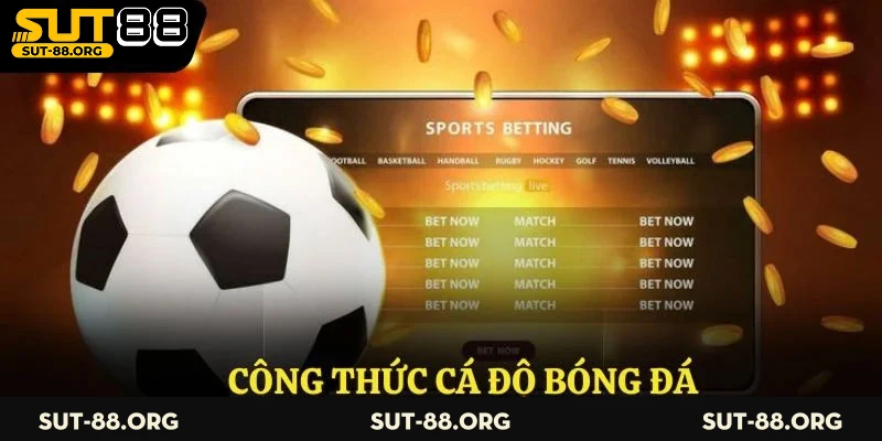 Công Thức Cá Độ Bóng Đá – Bí Quyết Cá Cược Hiệu Quả Nhất 