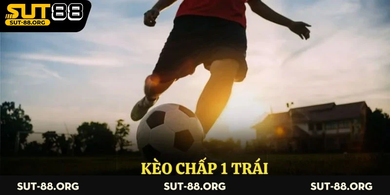 Kèo Chấp 1 Trái - Cách Đọc Kèo Và Bắt Kèo Hiệu Quả  