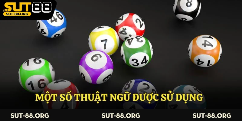 Một số thuật ngữ được sử dụng