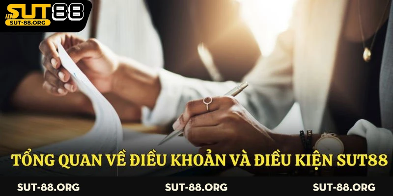 Tổng quan về chính sách